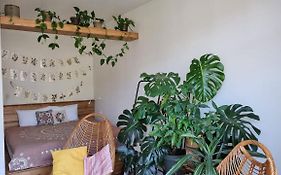 Kyiv Jungle Apartment